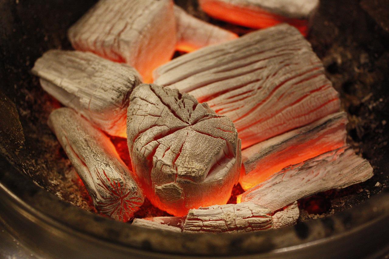 Barbacoas a leña