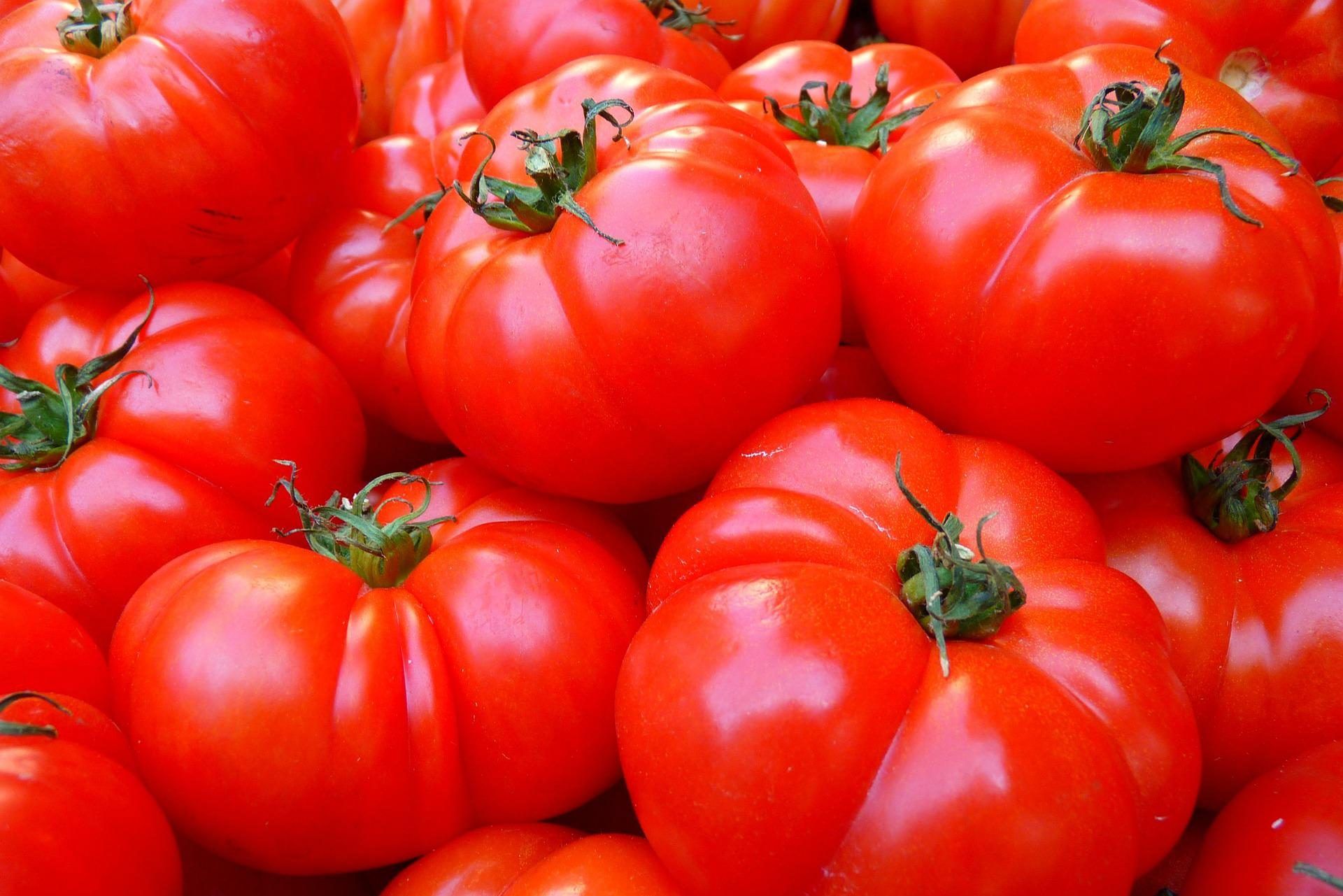 tomate ingredientes paella valenciana